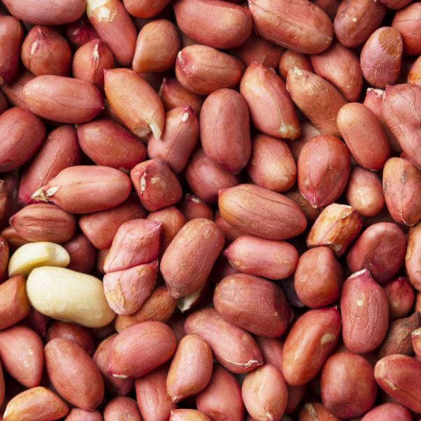 Peanuts